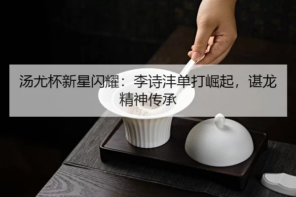 汤尤杯新星闪耀：李诗沣单打崛起，谌龙精神传承